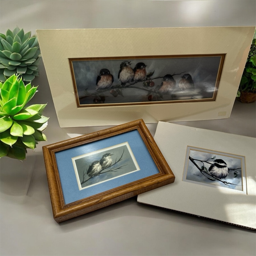 Bird photo prints Young bluebird cluster Culotta Studios Chickadees wildlife art